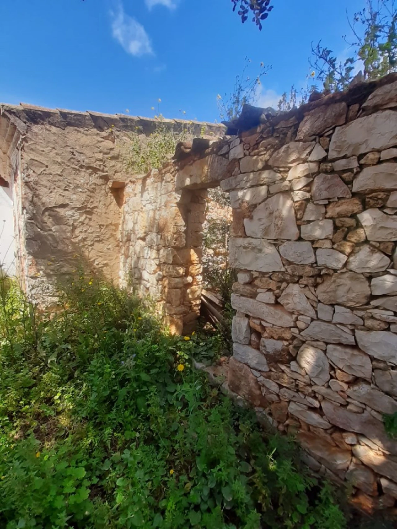 Quinta T2 para Venda em Tavira (Santa Maria e Santiago) Foto 5