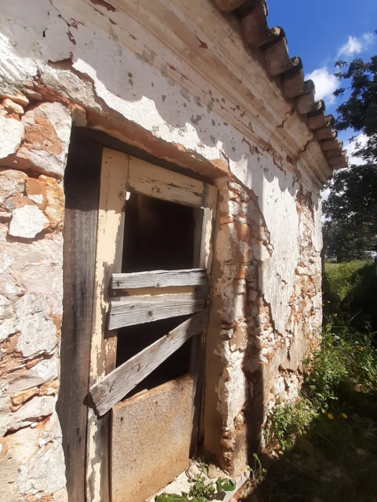 Quinta T2 para Venda em Tavira (Santa Maria e Santiago) Foto 3