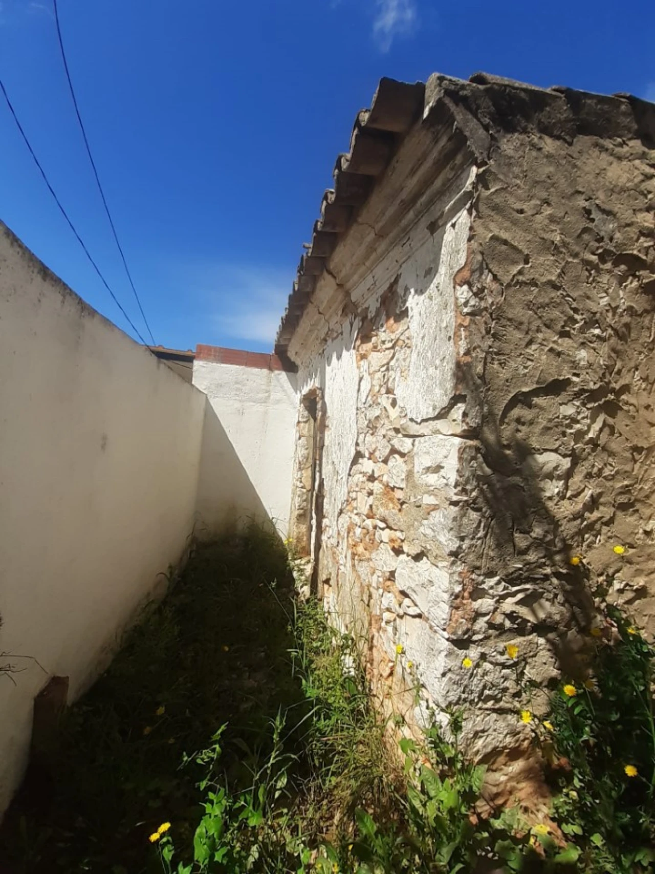 Quinta T2 para Venda em Tavira (Santa Maria e Santiago) Foto 7