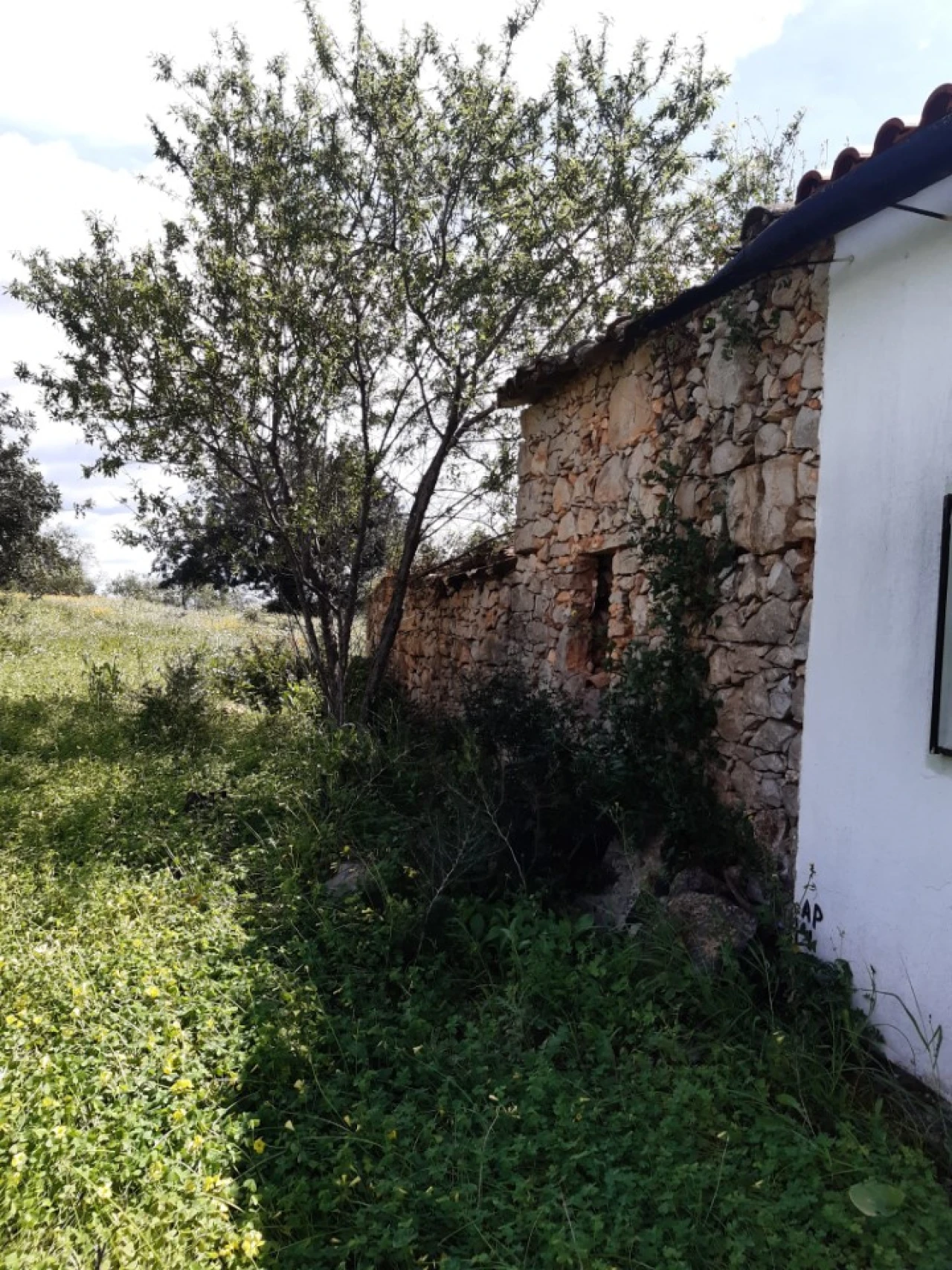 Quinta T2 para Venda em Tavira (Santa Maria e Santiago) Foto 9