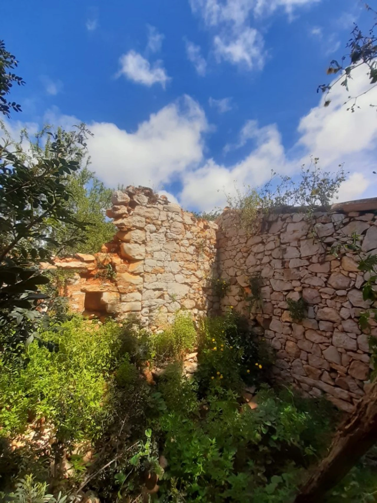 Quinta T2 para Venda em Tavira (Santa Maria e Santiago) Foto 8