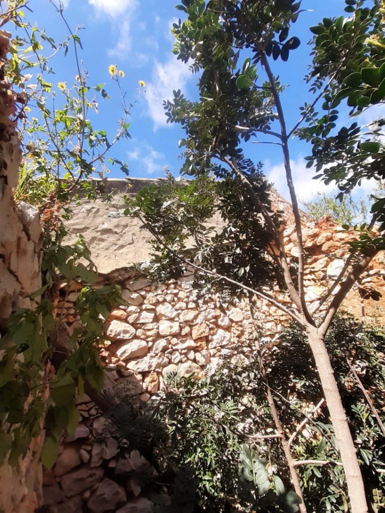 Quinta T2 para Venda em Tavira (Santa Maria e Santiago) Foto 11