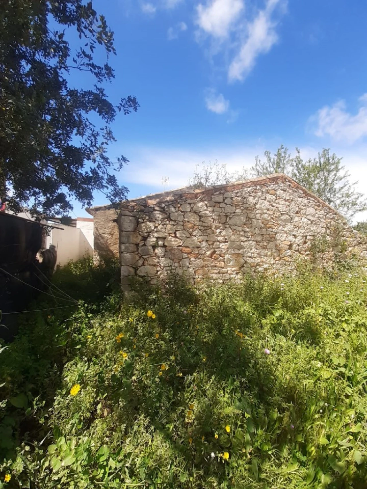 Quinta T2 para Venda em Tavira (Santa Maria e Santiago) Foto 13