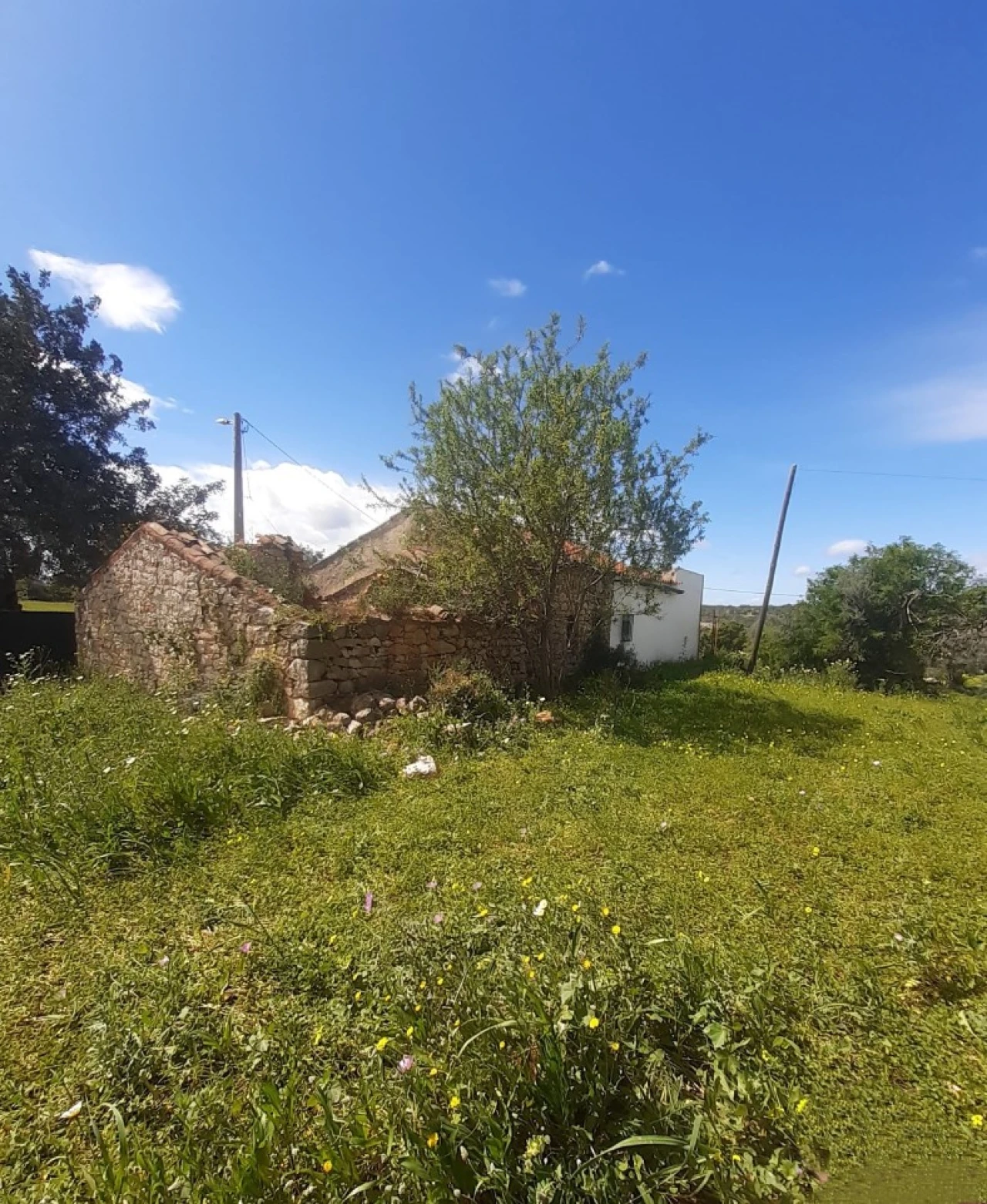 Quinta T2 para Venda em Tavira (Santa Maria e Santiago) Foto 16