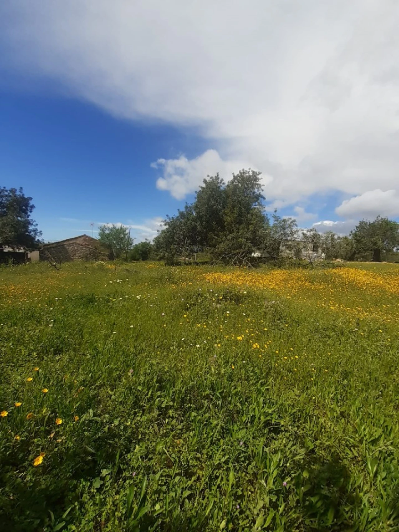 Quinta T2 para Venda em Tavira (Santa Maria e Santiago) Foto 17