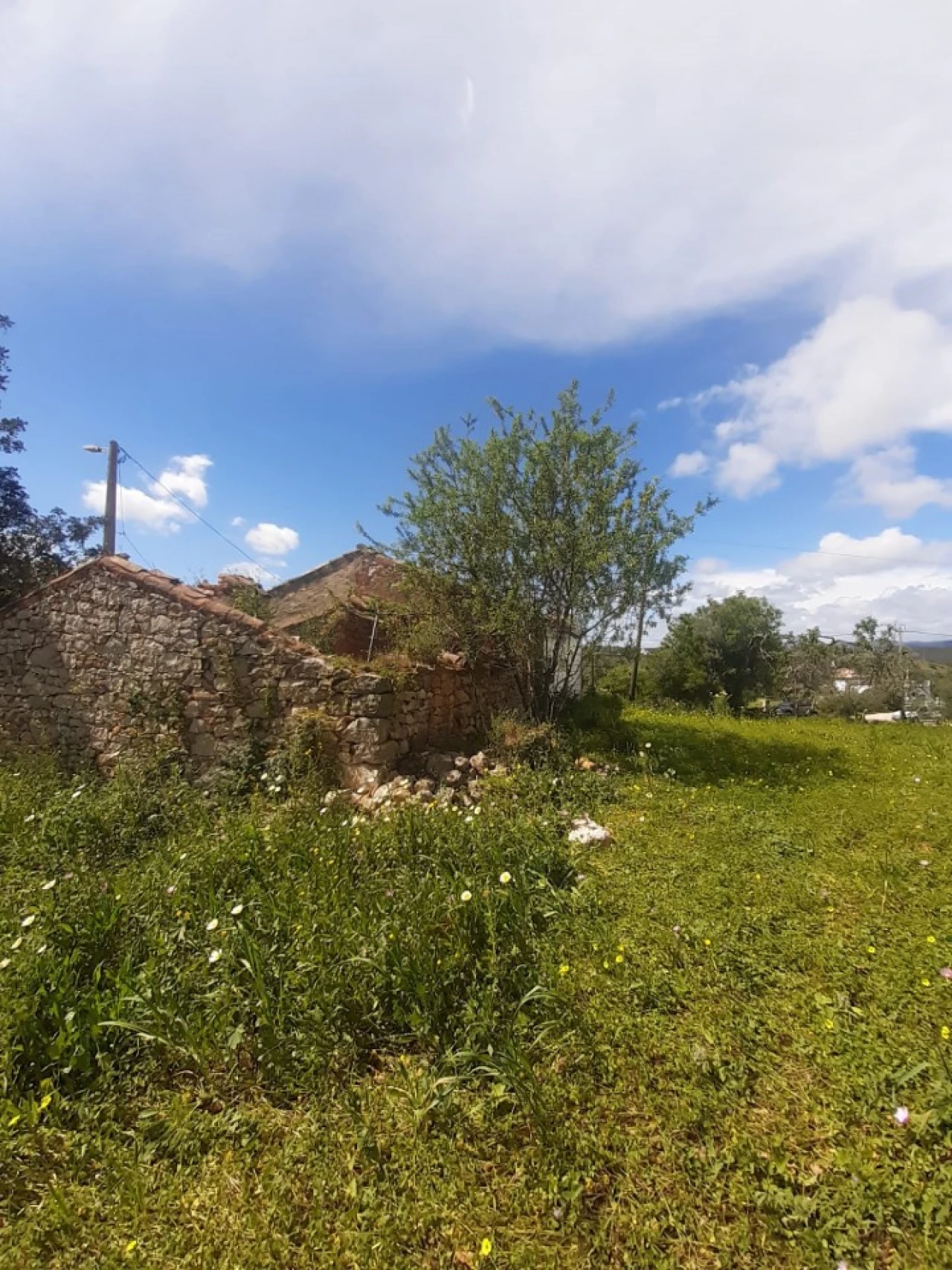 Quinta T2 para Venda em Tavira (Santa Maria e Santiago) Foto 18