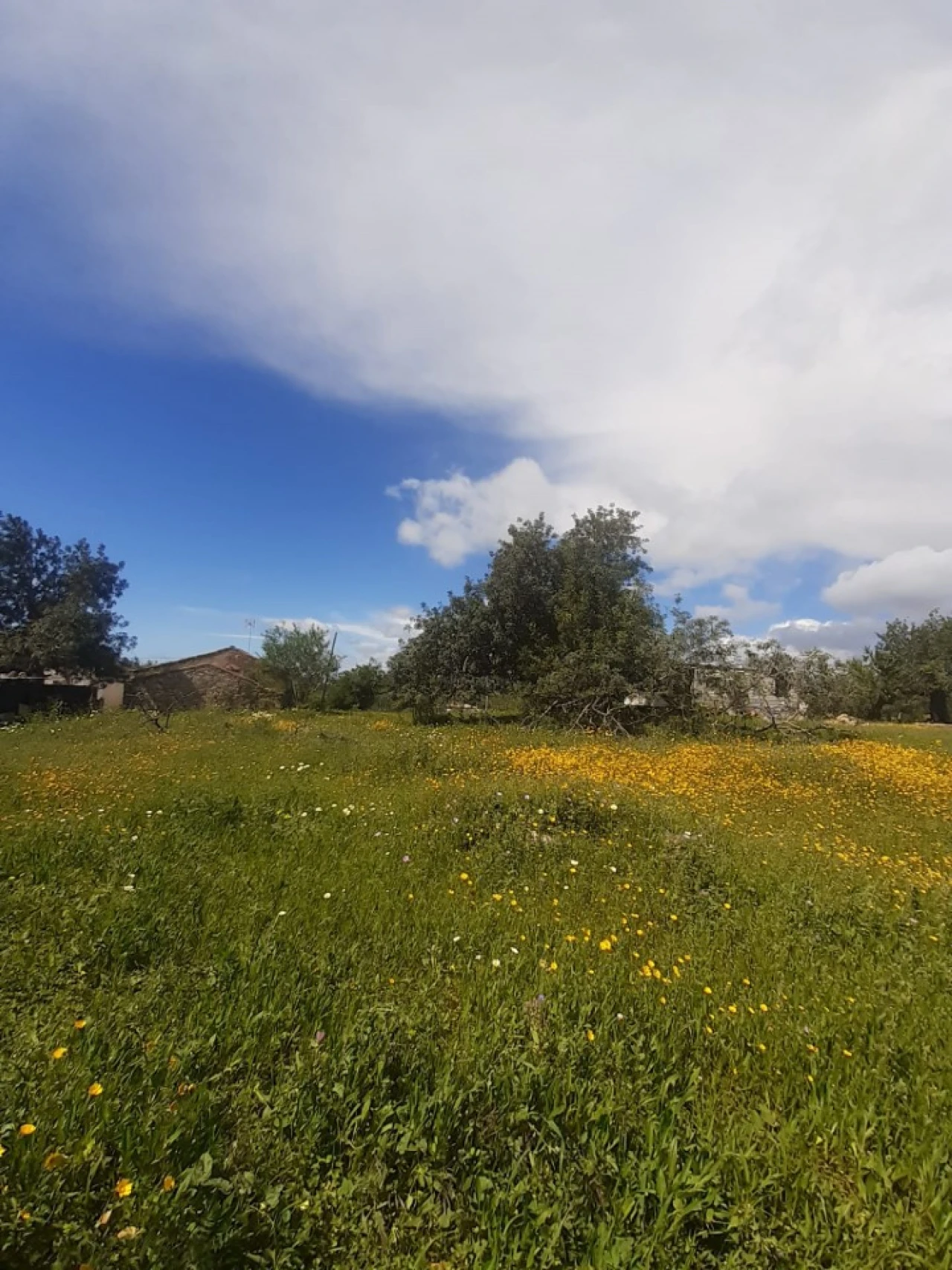 Quinta T2 para Venda em Tavira (Santa Maria e Santiago) Foto 19
