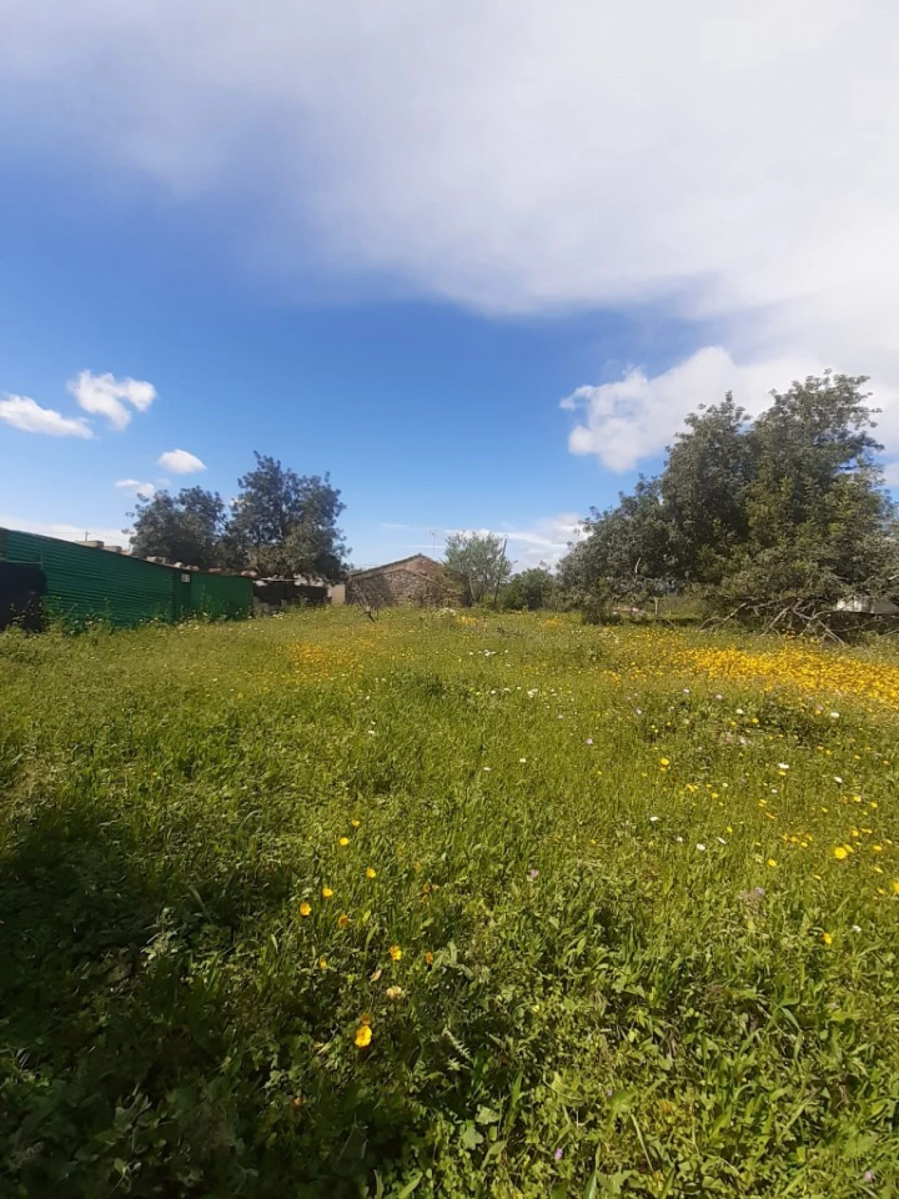 Quinta T2 para Venda em Tavira (Santa Maria e Santiago) Foto 20