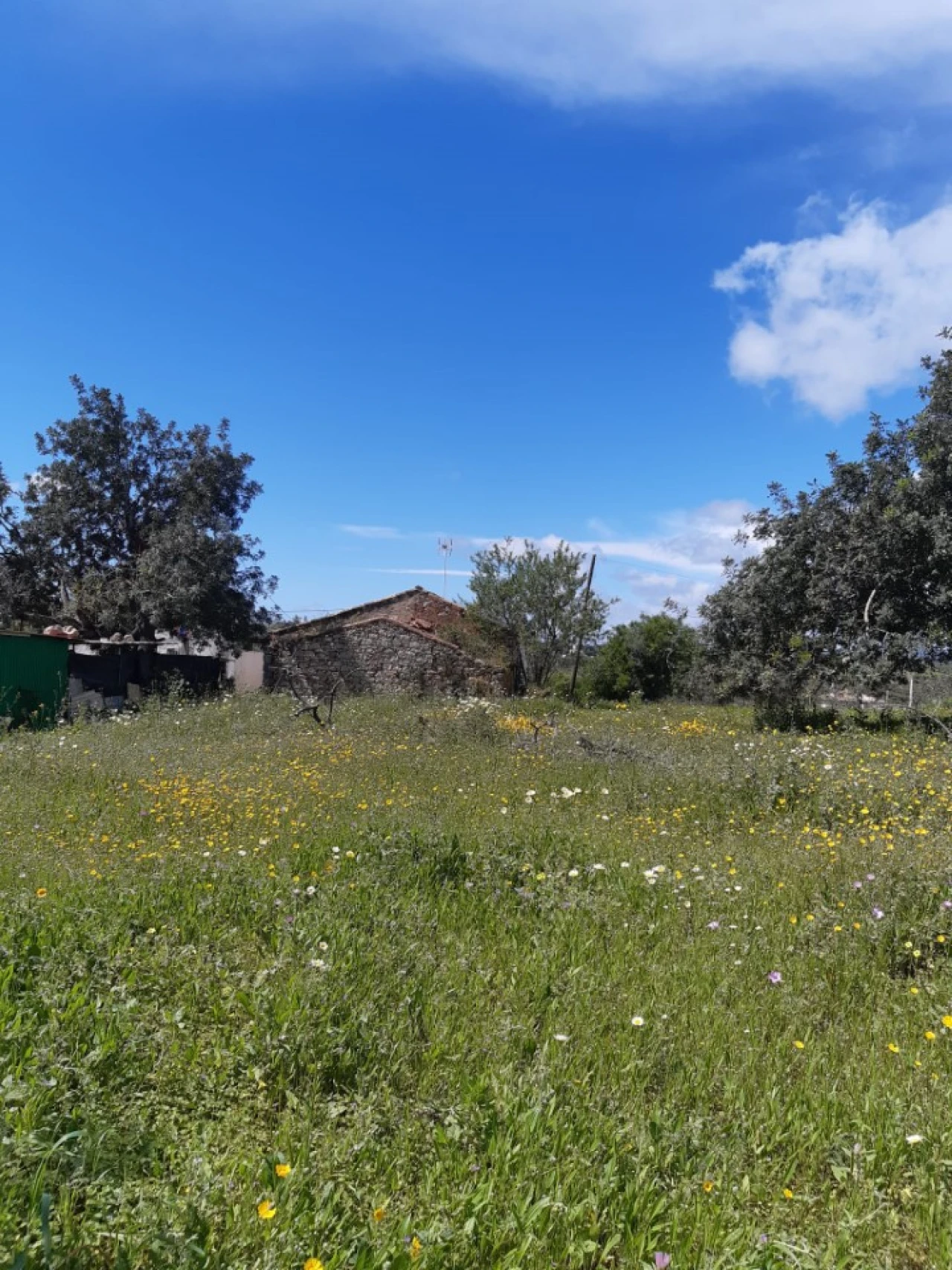 Quinta T2 para Venda em Tavira (Santa Maria e Santiago) Foto 21