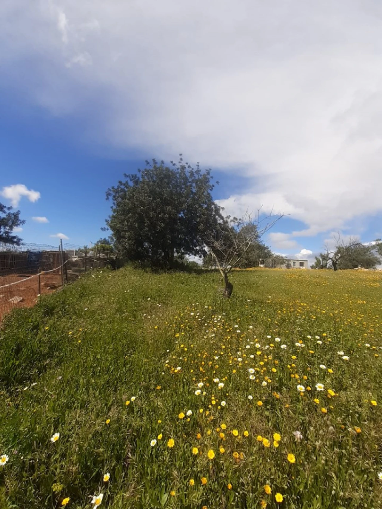 Quinta T2 para Venda em Tavira (Santa Maria e Santiago) Foto 23