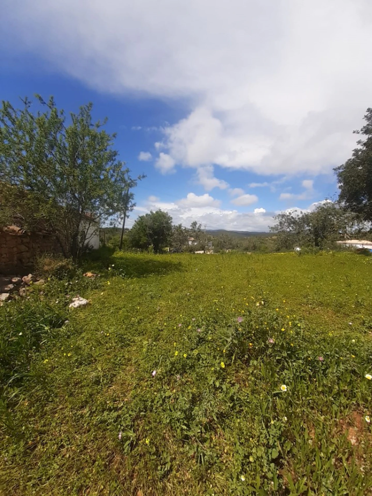 Quinta T2 para Venda em Tavira (Santa Maria e Santiago) Foto 24