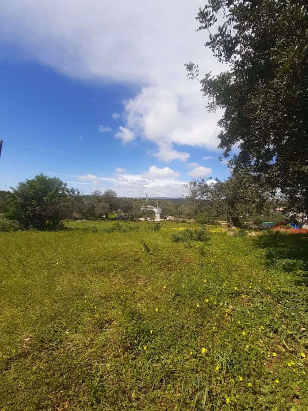 Quinta T2 para Venda em Tavira (Santa Maria e Santiago) Foto 25