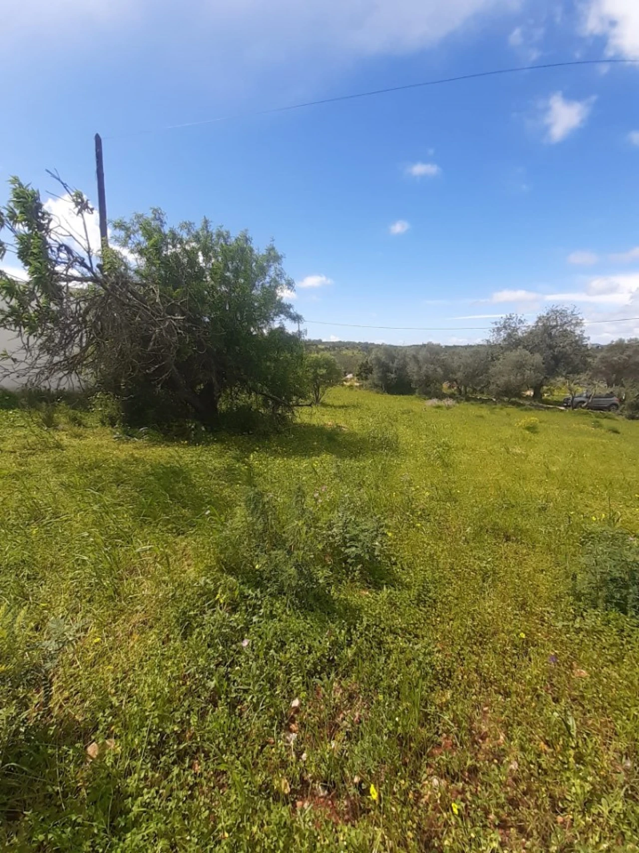 Quinta T2 para Venda em Tavira (Santa Maria e Santiago) Foto 27