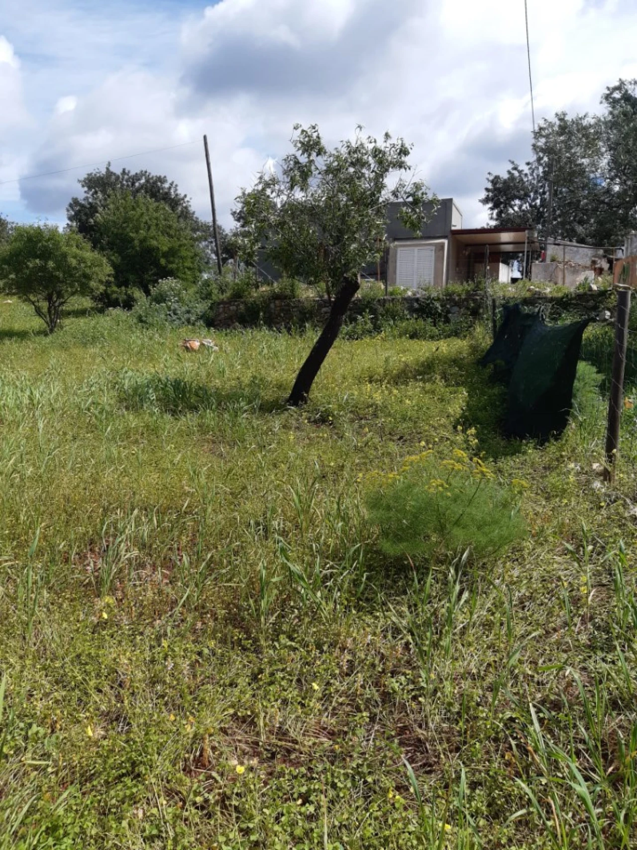 Quinta T2 para Venda em Tavira (Santa Maria e Santiago) Foto 30