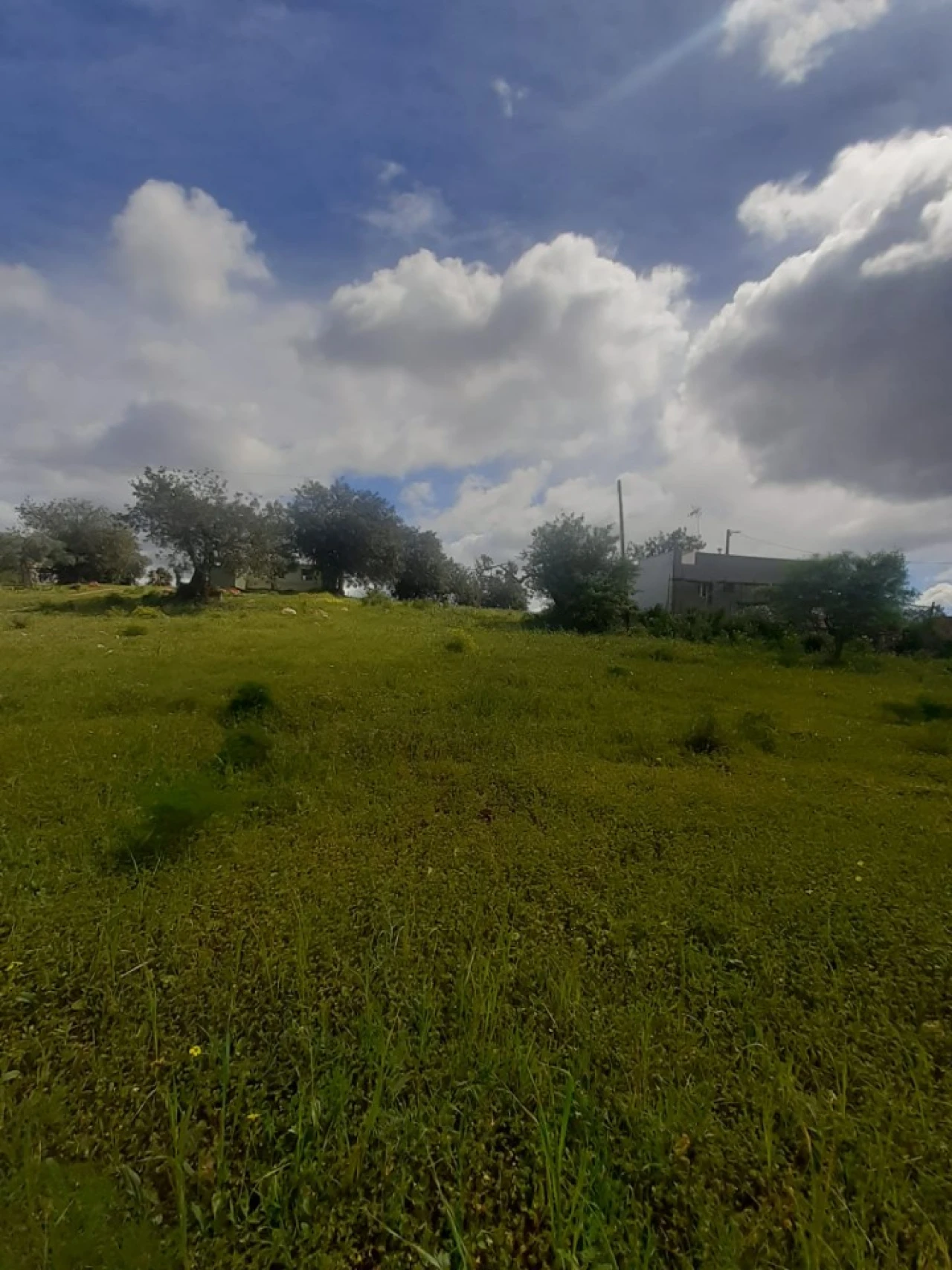 Quinta T2 para Venda em Tavira (Santa Maria e Santiago) Foto 31