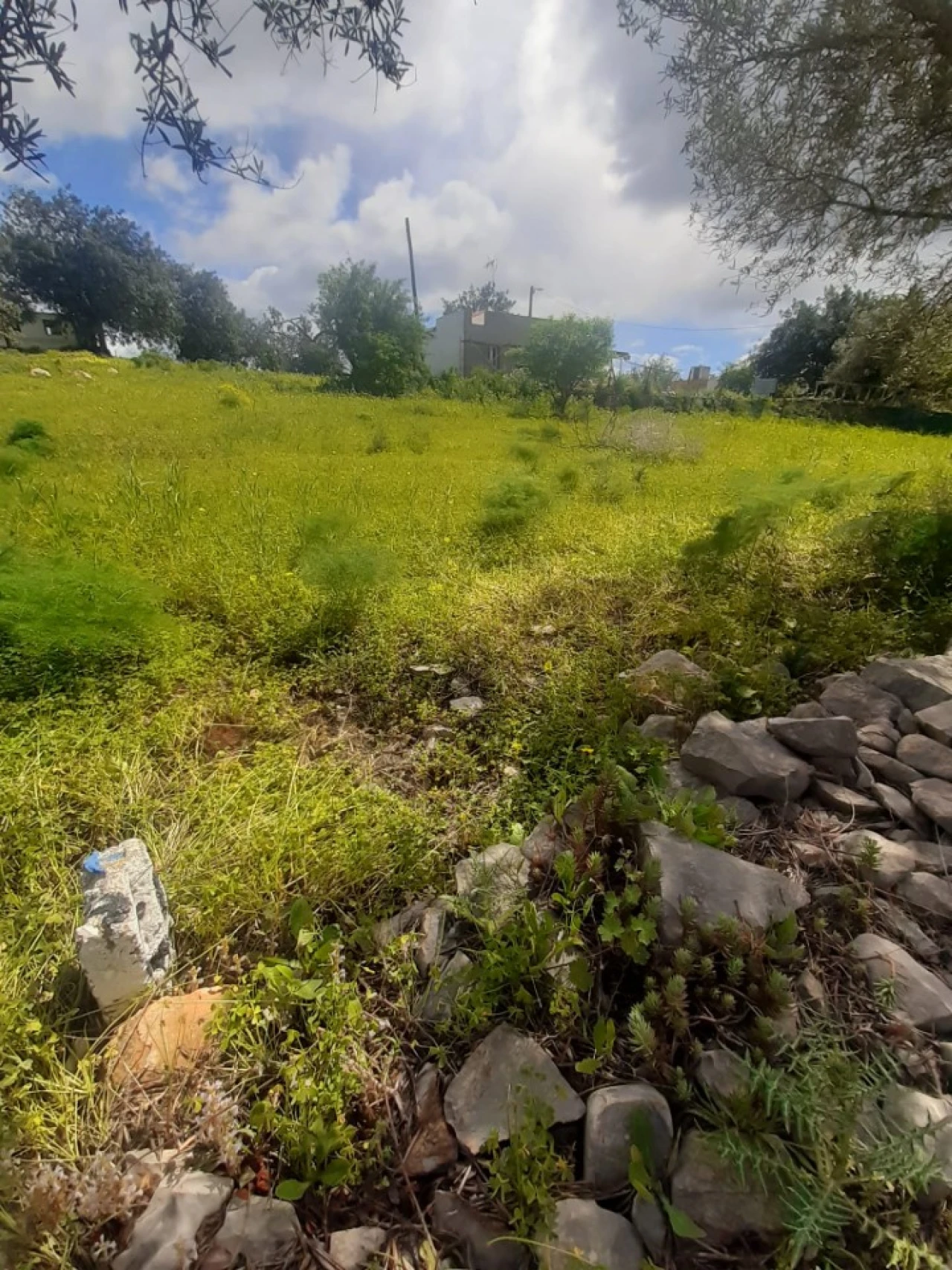 Quinta T2 para Venda em Tavira (Santa Maria e Santiago) Foto 32