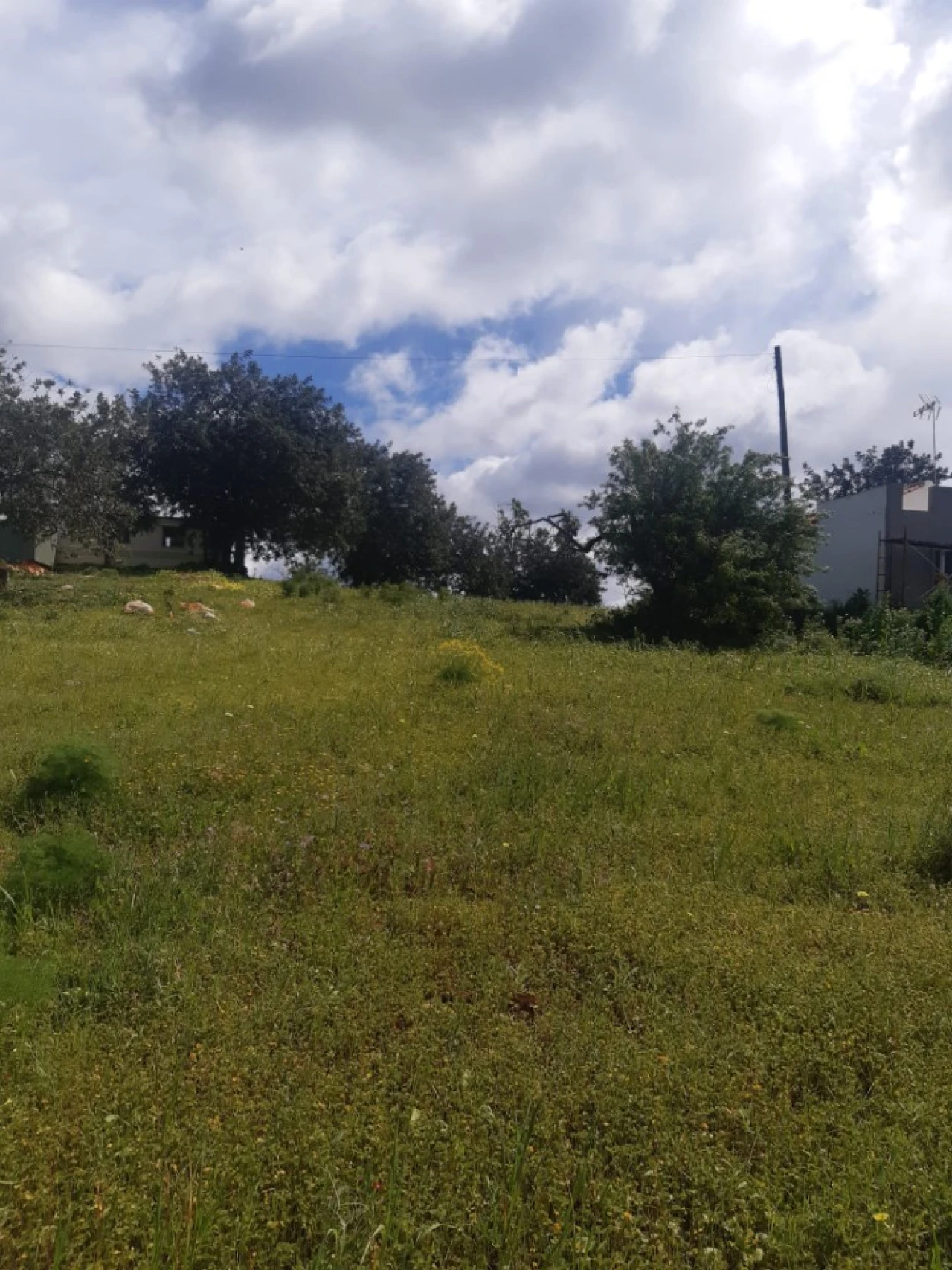 Quinta T2 para Venda em Tavira (Santa Maria e Santiago) Foto 33