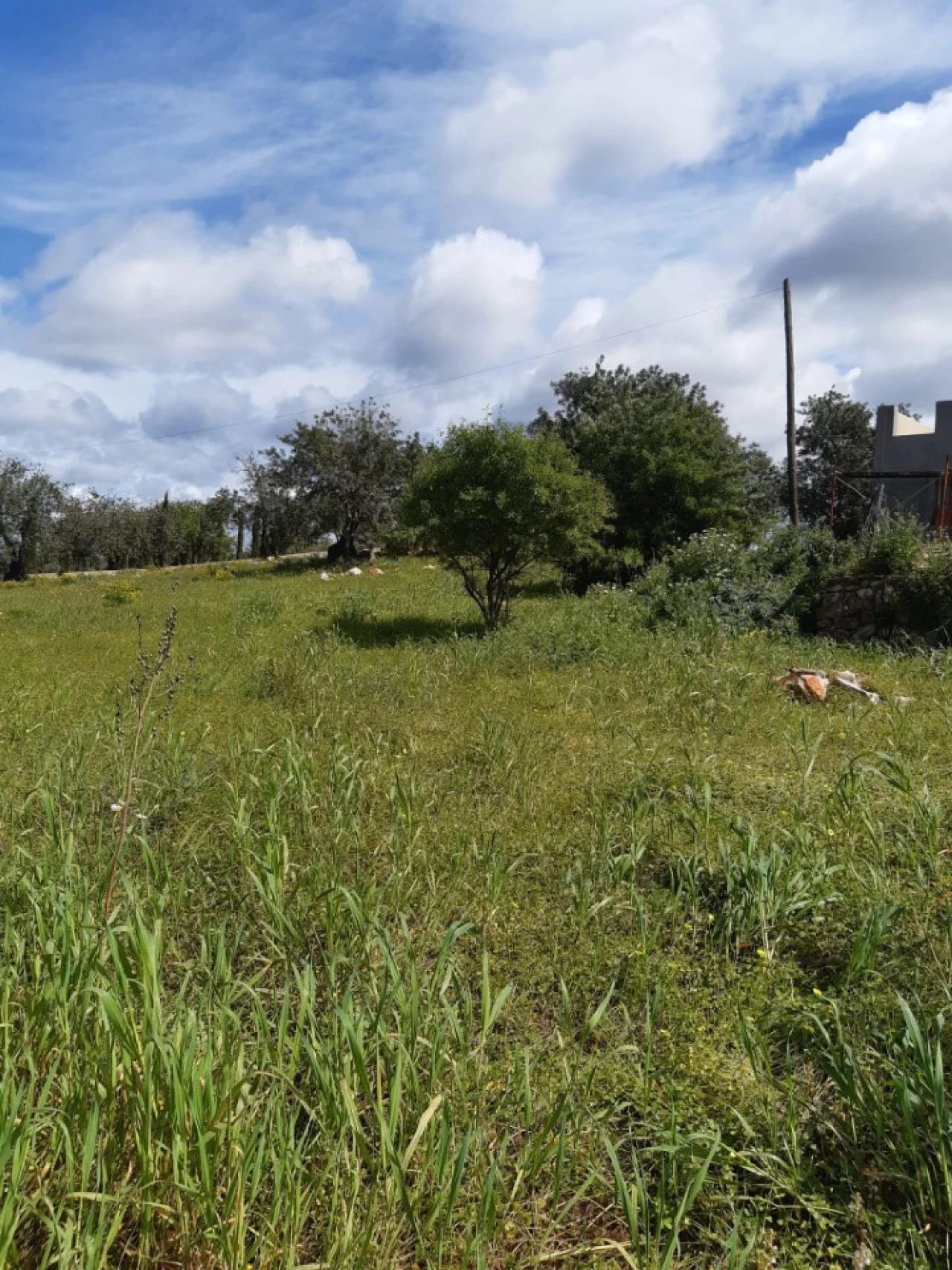 Quinta T2 para Venda em Tavira (Santa Maria e Santiago) Foto 34