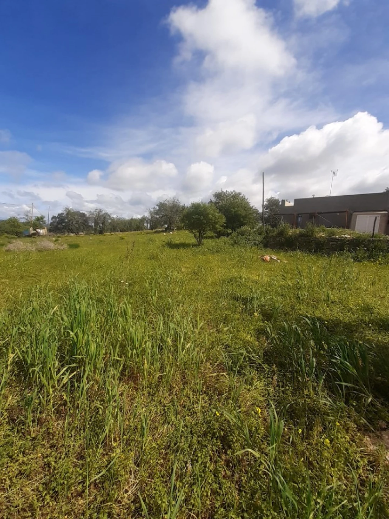 Quinta T2 para Venda em Tavira (Santa Maria e Santiago) Foto 35