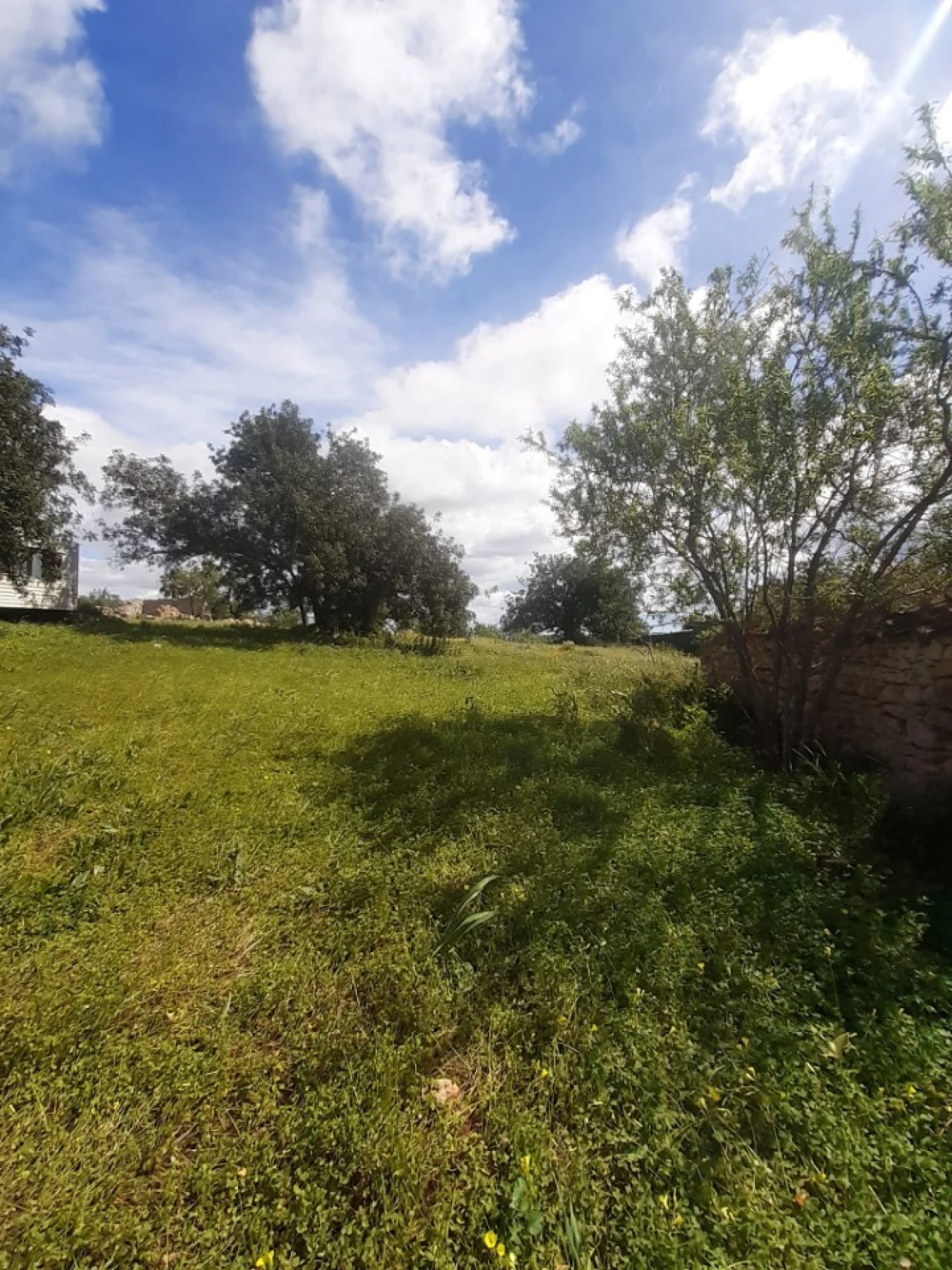 Quinta T2 para Venda em Tavira (Santa Maria e Santiago) Foto 39