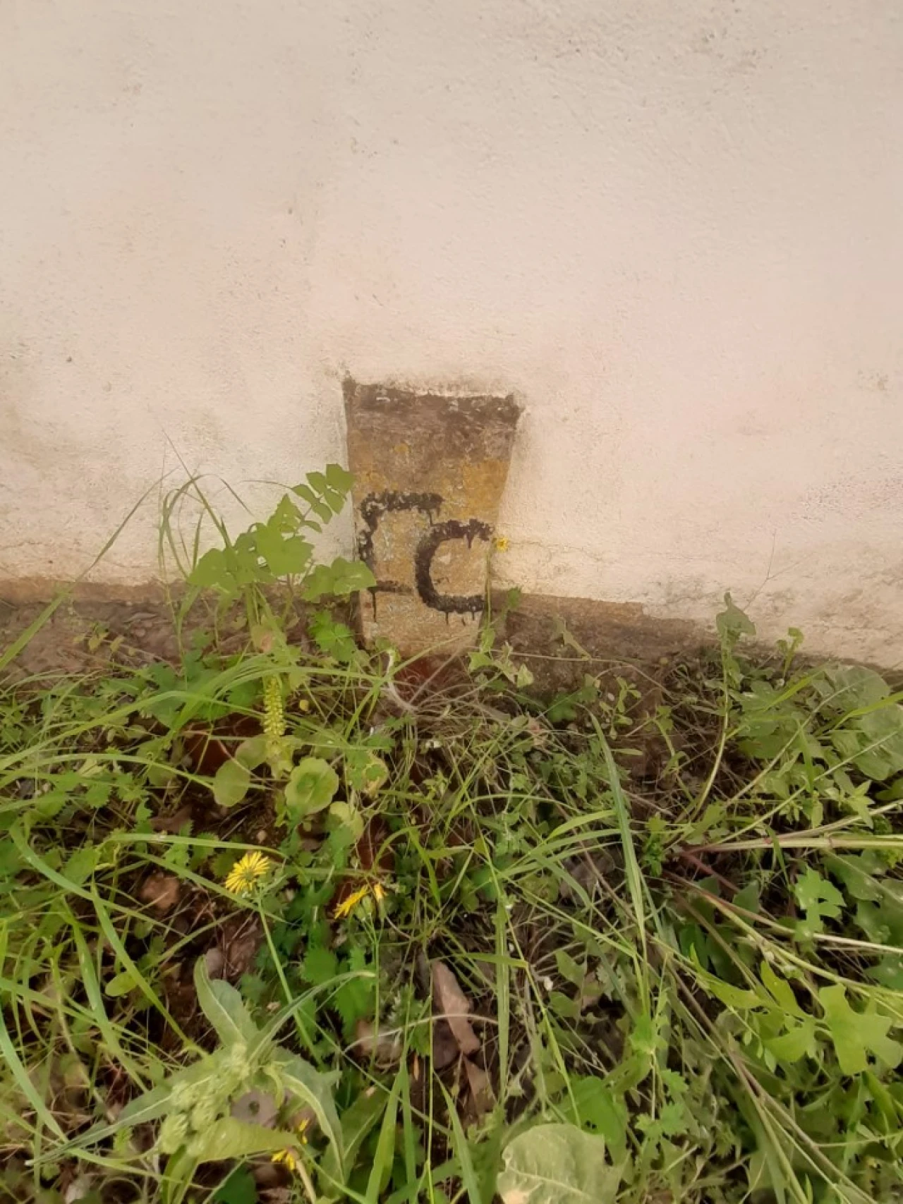 Quinta T2 para Venda em Tavira (Santa Maria e Santiago) Foto 43