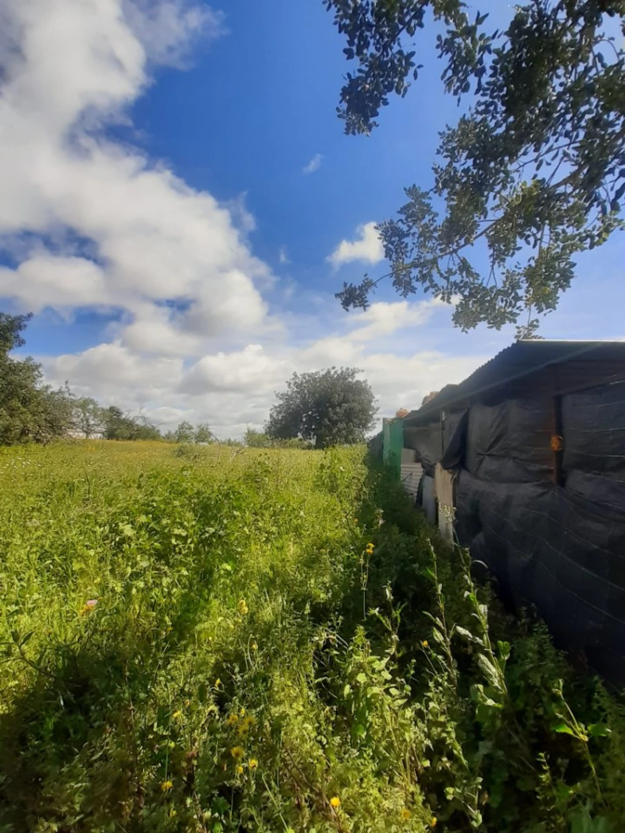 Quinta T2 para Venda em Tavira (Santa Maria e Santiago) Foto 44