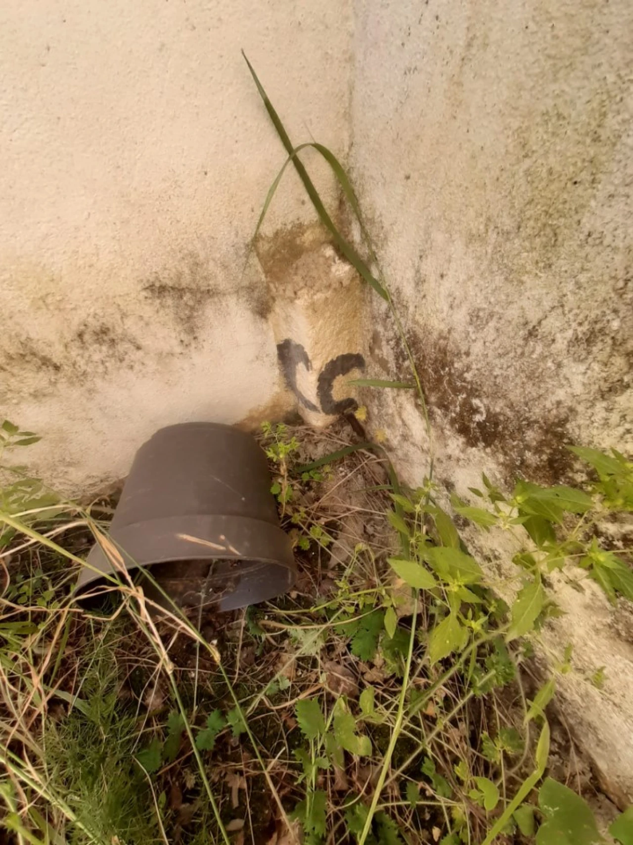 Quinta T2 para Venda em Tavira (Santa Maria e Santiago) Foto 46