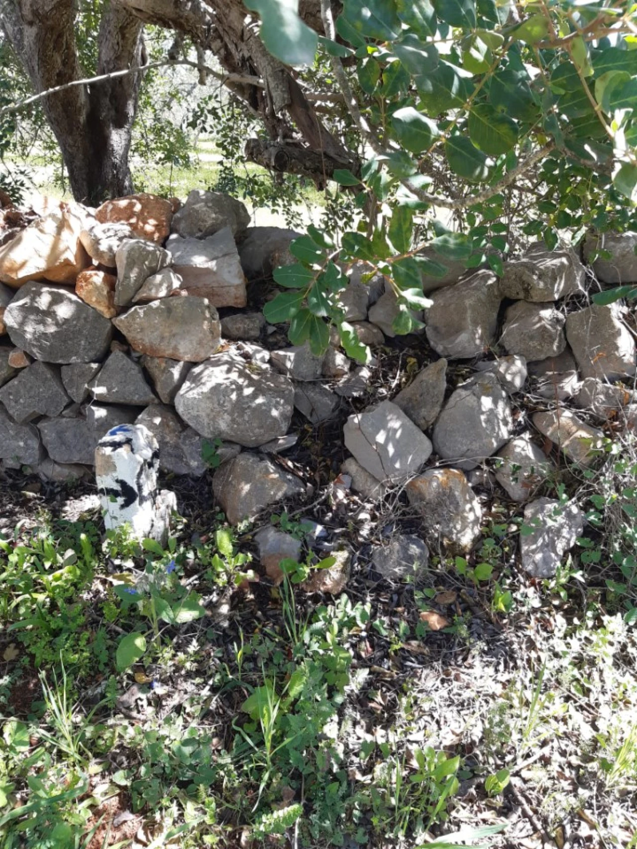 Quinta T2 para Venda em Tavira (Santa Maria e Santiago) Foto 47