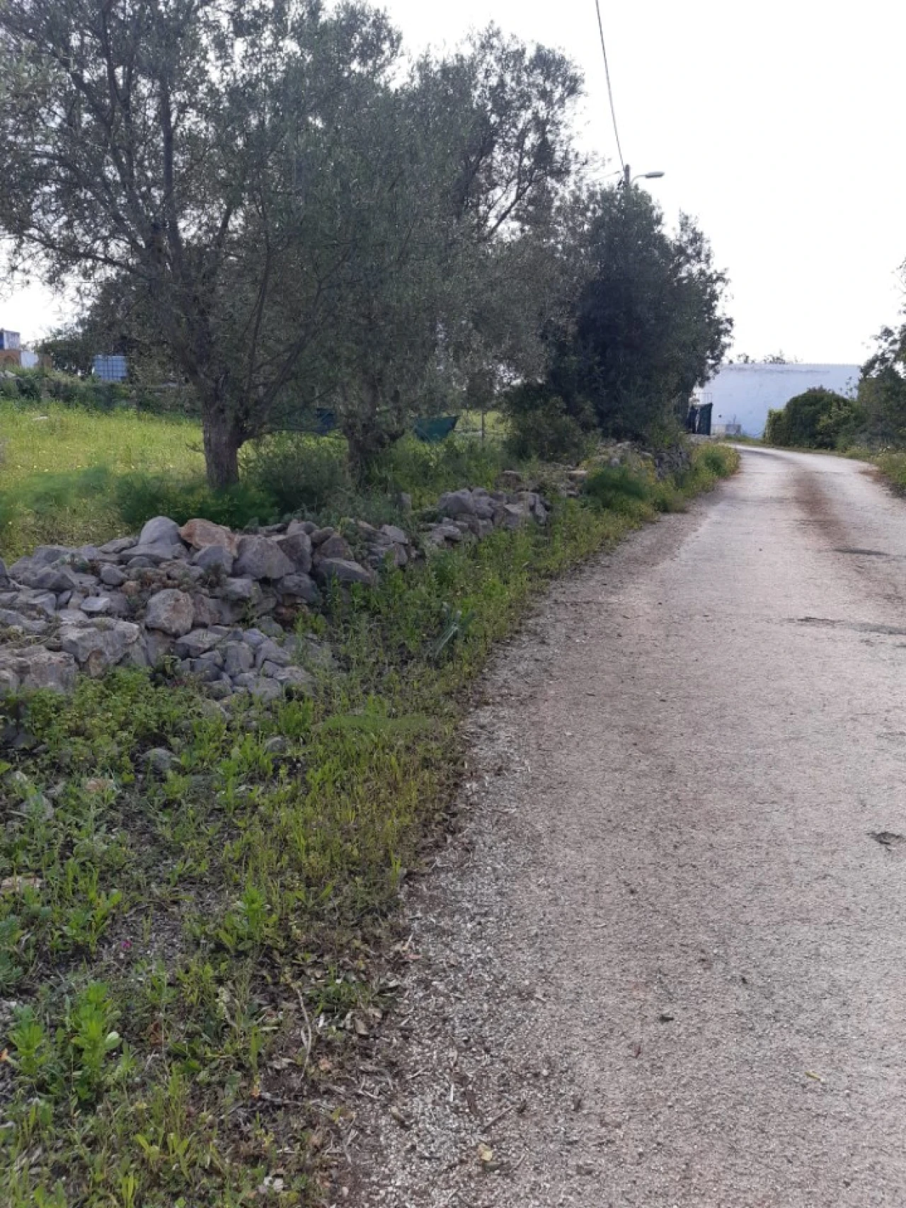 Quinta T2 para Venda em Tavira (Santa Maria e Santiago) Foto 50