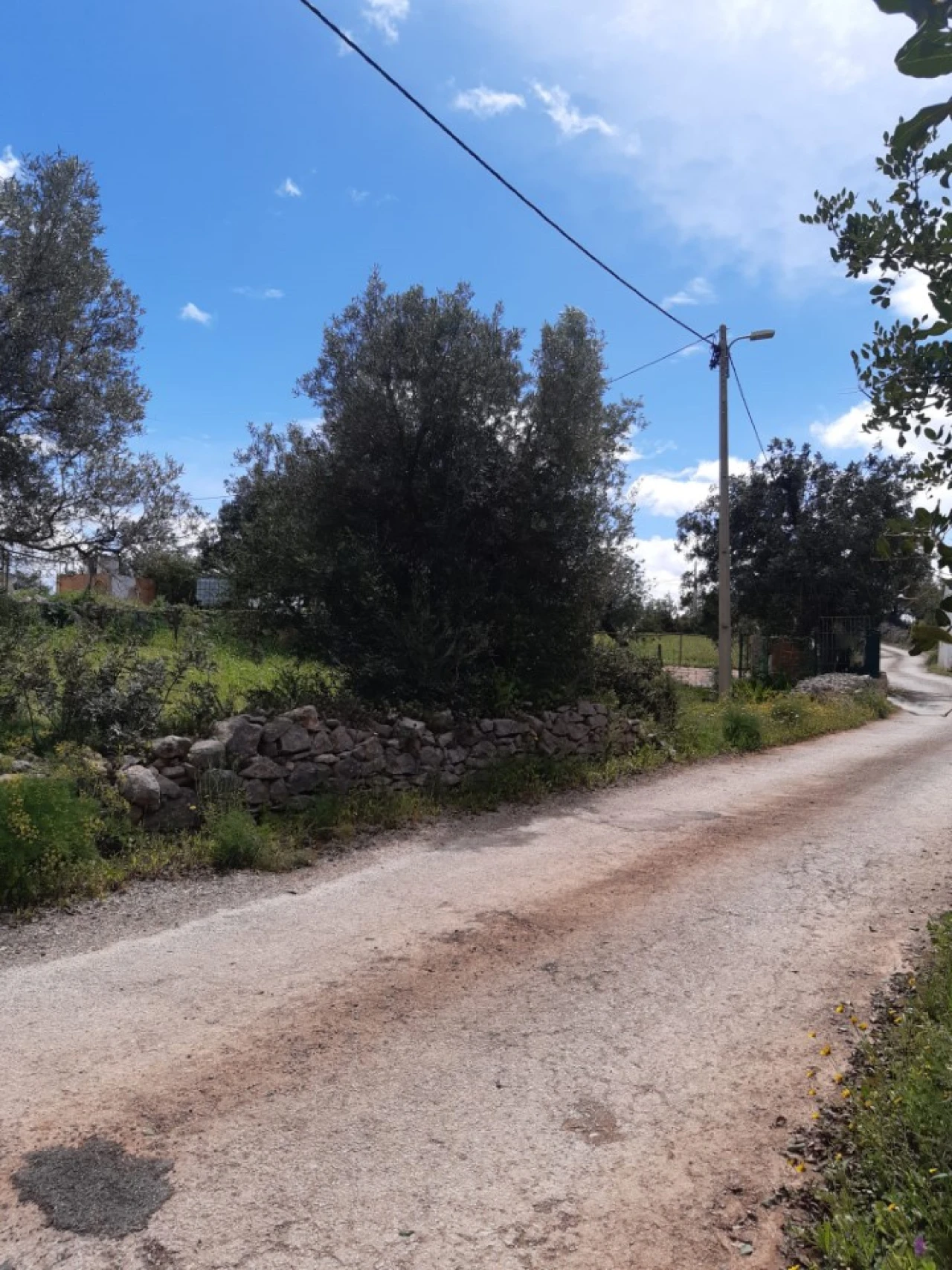 Quinta T2 para Venda em Tavira (Santa Maria e Santiago) Foto 52
