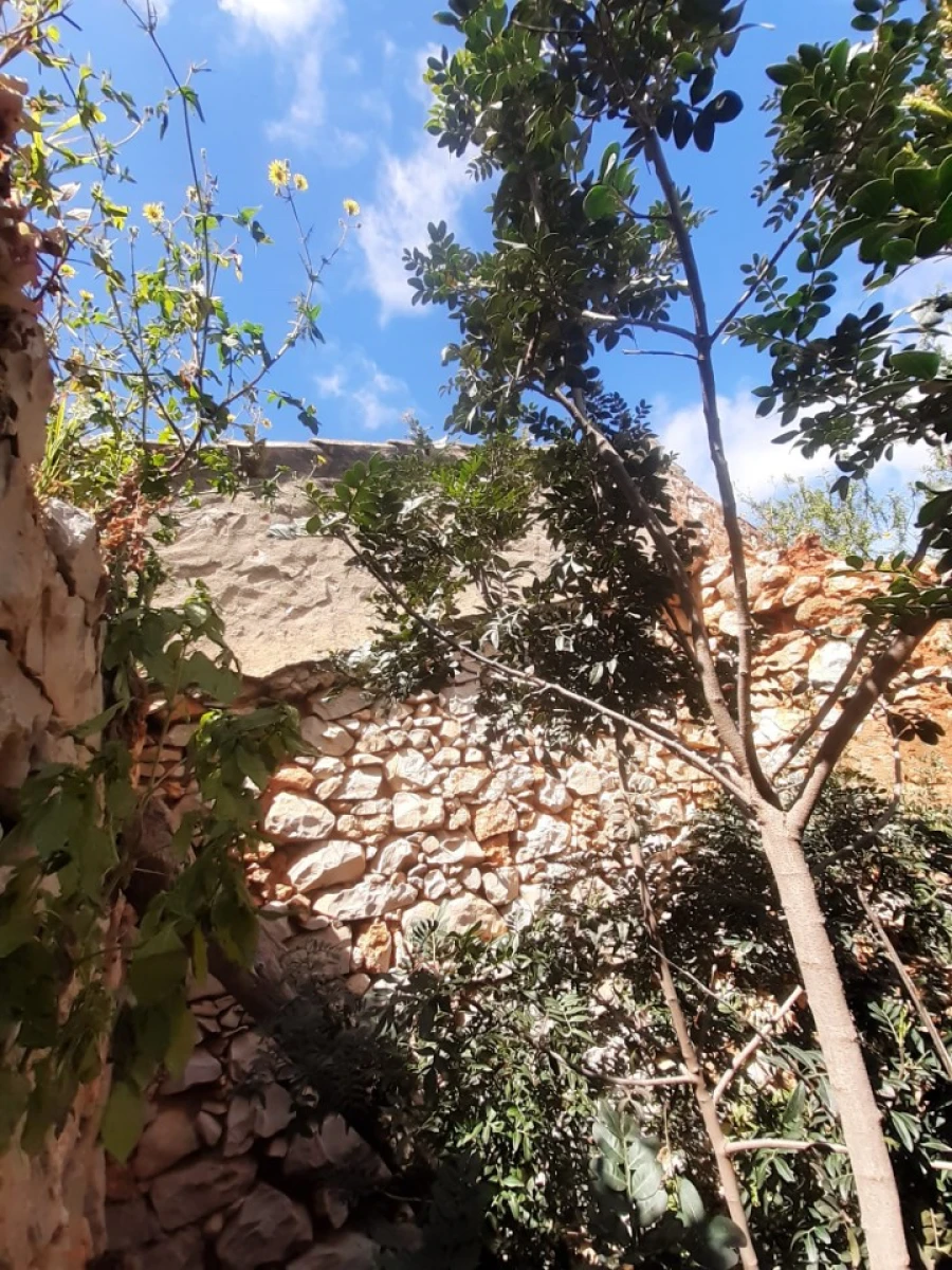 Quinta T2 para Venda em Tavira (Santa Maria e Santiago) Foto 11