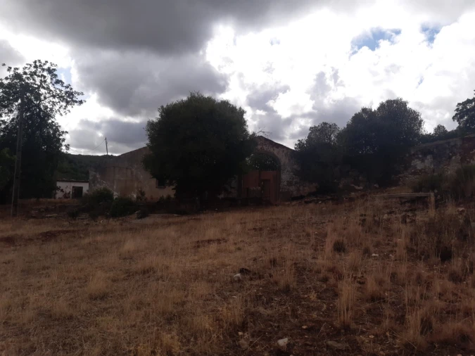 Quinta T7 para Venda em São Brás de Alportel Foto 4
