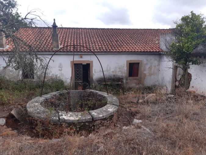 Quinta T7 para Venda em São Brás de Alportel Foto 5