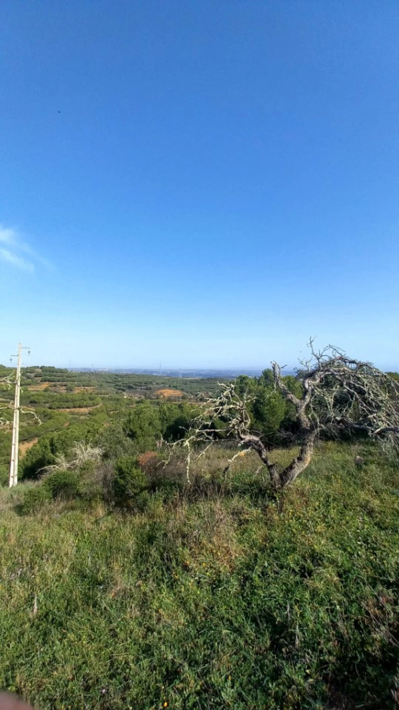 Terreno Agricola ou Rústico para Venda em Vaqueiros Foto 2
