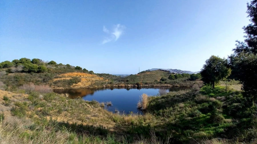 Terreno Agricola ou Rústico para Venda em Vaqueiros Foto 1