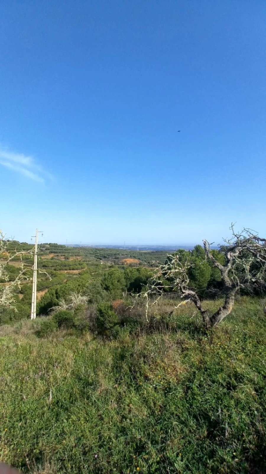 Terreno Agricola ou Rústico para Venda em Vaqueiros Foto 3
