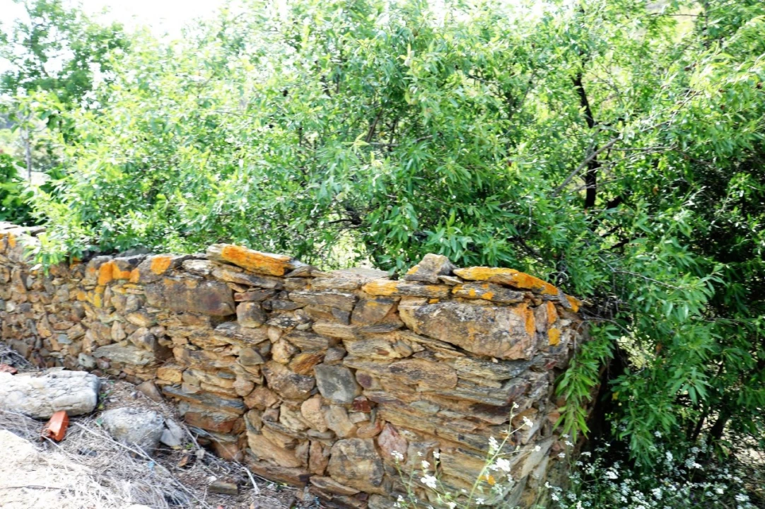 Terreno para Venda em Tavira (Santa Maria e Santiago) Foto 4