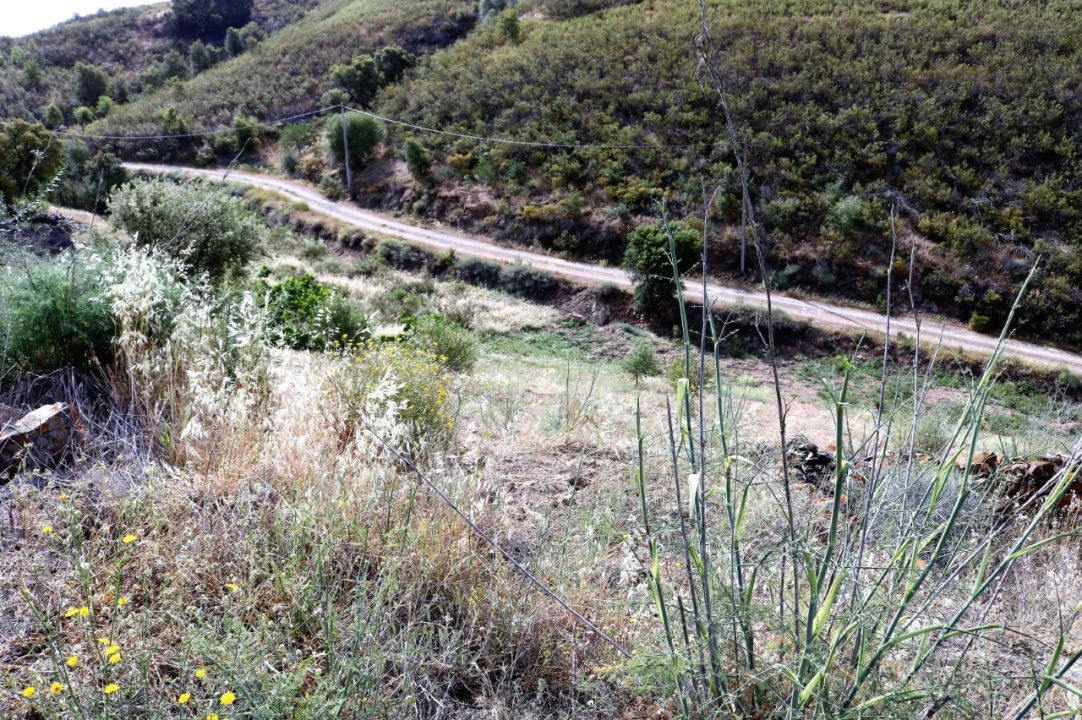 Terreno para Venda em Tavira (Santa Maria e Santiago) Foto 6