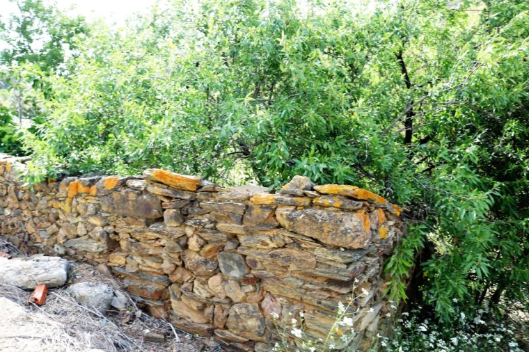 Terreno para Venda em Tavira (Santa Maria e Santiago) Foto 4