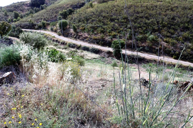 Terreno para Venda em Tavira (Santa Maria e Santiago) Foto 6