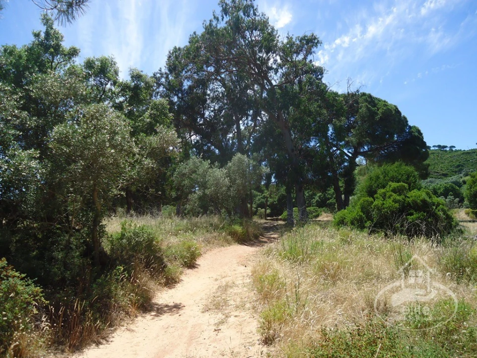 Quinta T8 para Venda em União das Freguesias de Setúbal Foto 1