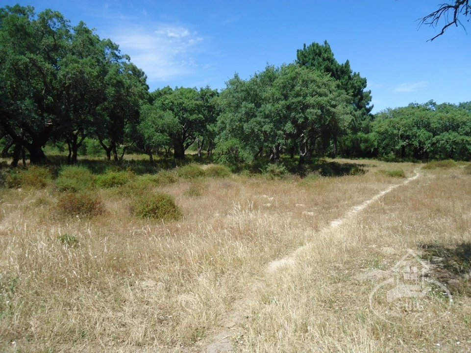 Quinta T8 para Venda em União das Freguesias de Setúbal Foto 6
