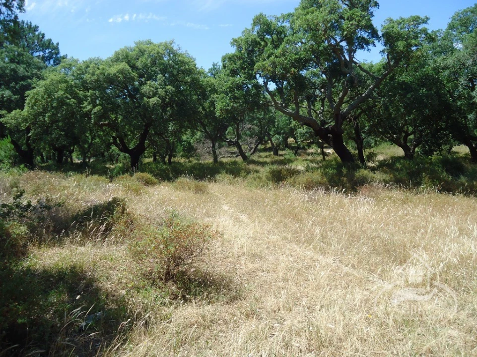 Quinta T8 para Venda em União das Freguesias de Setúbal Foto 7