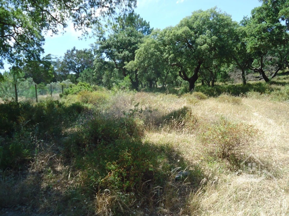 Quinta T8 para Venda em União das Freguesias de Setúbal Foto 8