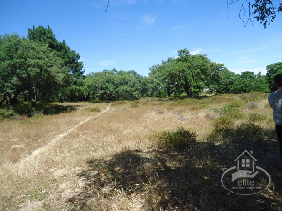 Quinta T8 para Venda em União das Freguesias de Setúbal Foto 9