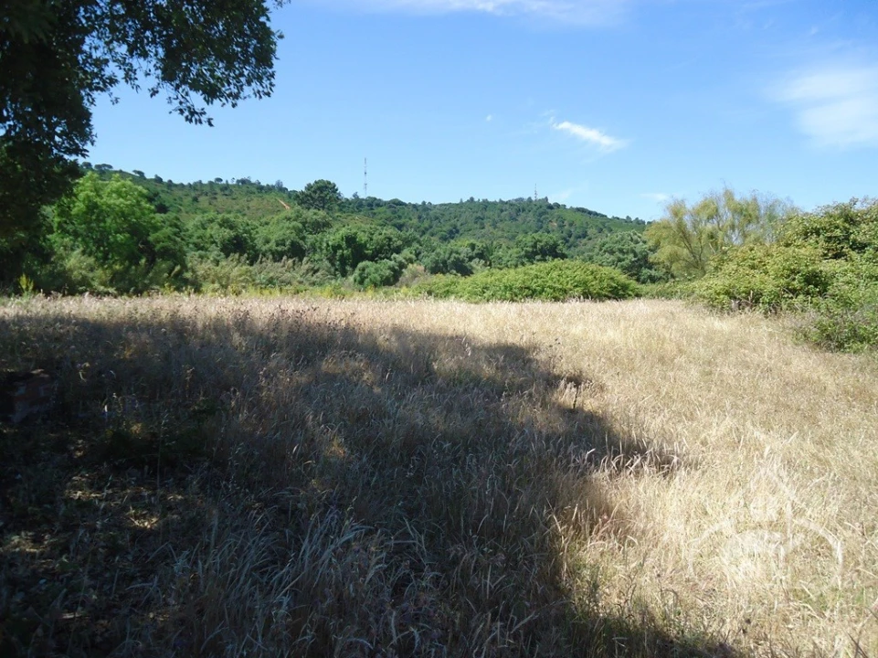 Quinta T8 para Venda em União das Freguesias de Setúbal Foto 11