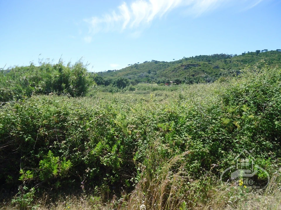 Quinta T8 para Venda em União das Freguesias de Setúbal Foto 27