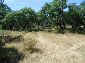 Quinta T8 para Venda em União das Freguesias de Setúbal