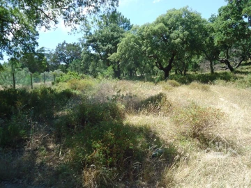 Quinta T8 para Venda em União das Freguesias de Setúbal