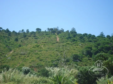 Quinta T8 para Venda em União das Freguesias de Setúbal